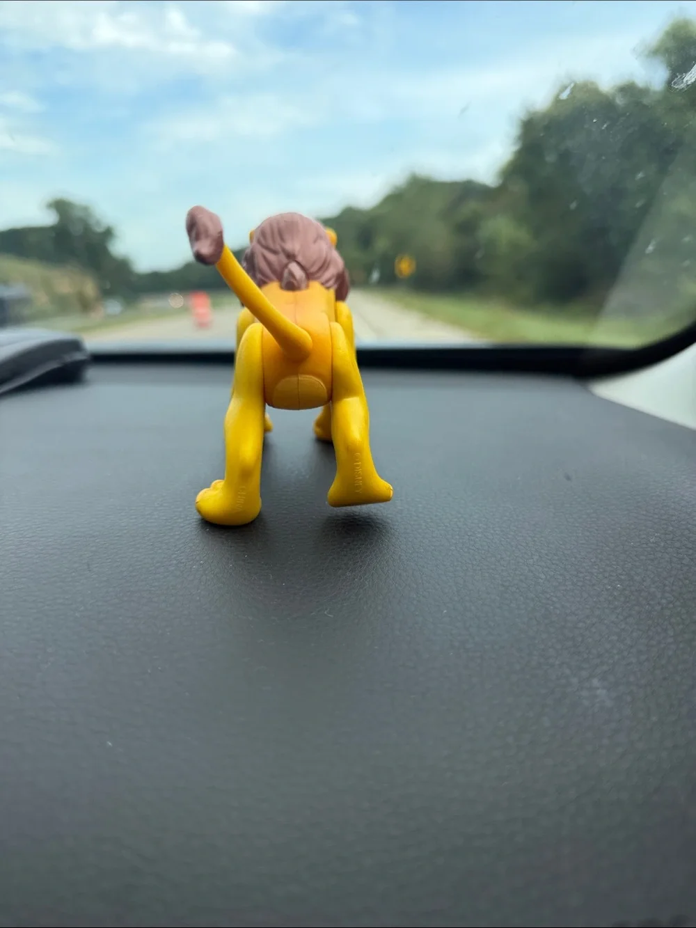 N/A disney lion